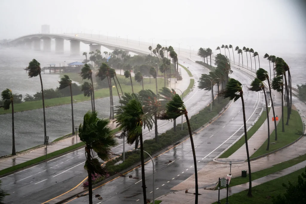 Photo of Hurricane winds blowing palm trees, showcasing storm Home Watch services for Sarasota and surrounding area homes.